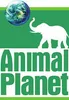 A green background with an elephant and the words animal planet.