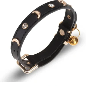 A black leather collar with gold studs and a bell.