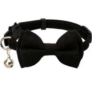 A black bow tie collar with bell attached.