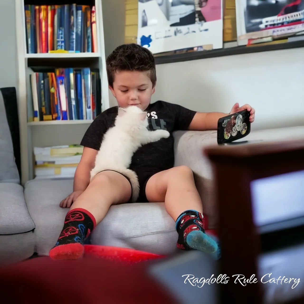 A boy sitting on the couch with his cat.