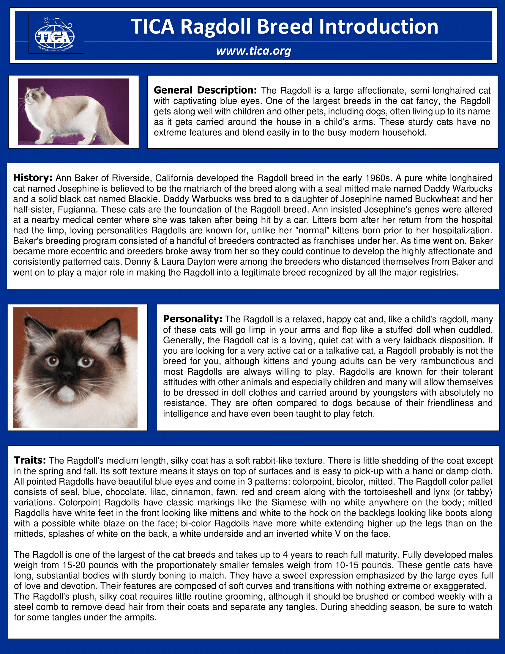 A cat 's description and personality in the article.