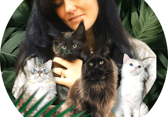 A woman holding two cats in her arms.