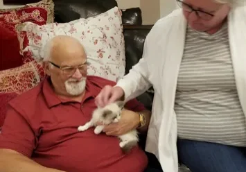 A woman holding a cat and petting it on the lap of an older man.